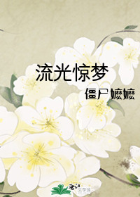 流光惊梦